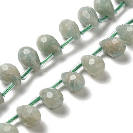 Natural Amazonite Beads Strands, Faceted, Top Drilled, Teardrop