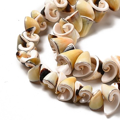 Naturelles coquillage perles brins, perles en spirale