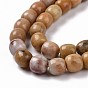 Natural Marble and Sesame Jasper/Kiwi Jasper Beads Strands, Column