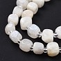 Natural Rainbow Moonstone Beads Strands, with Seed Beads, Square
