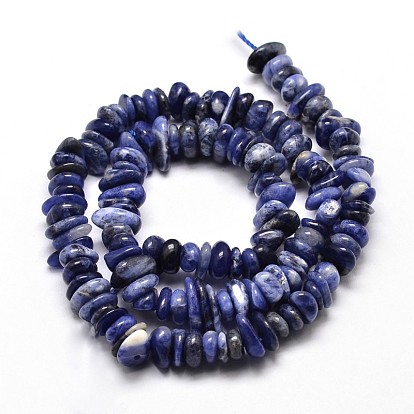 Natural Sodalite Chip Beads Strands, 4~14x4~12mm, Hole: 1mm, about 15.3 inch ~16.1 inch