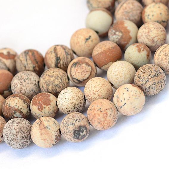 Frosted Natural Picture Jasper Round Bead Strands