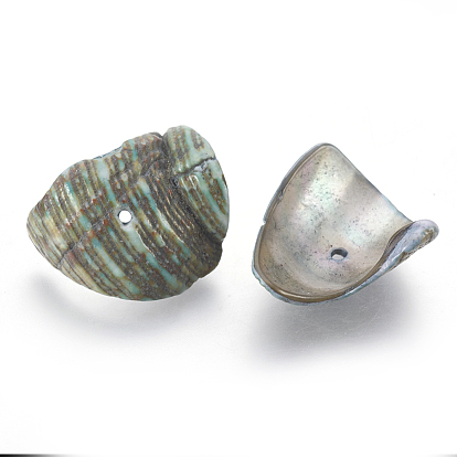 Perles de coquillage de mer naturelle, mixte, 12~22x10~22x2~4mm, Trou: 2mm
