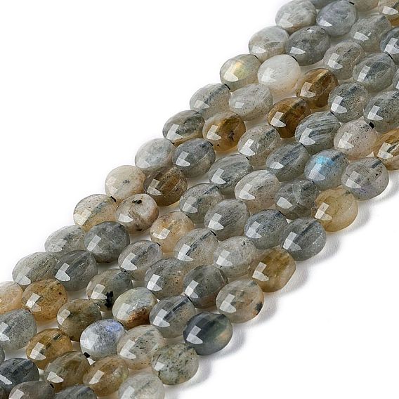 Natural Labradorite Beads Strands, Faceted, Flat Round