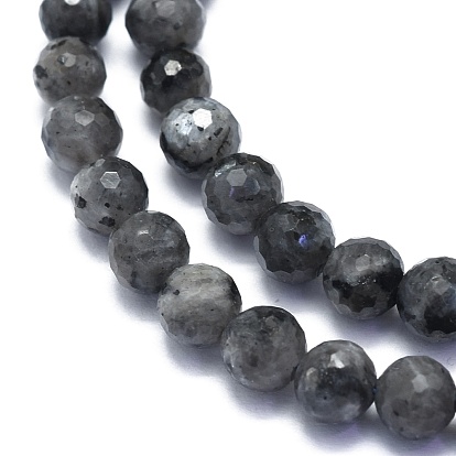 Natural Larvikite Beads Strands, Round, Faceted(128 Facets)