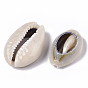 Natural Cowrie Shell Beads, No Hole/Undrilled