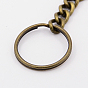 Alloy Long Keychain, with Swivel Lobster Claw Clasps, Ring