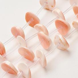 Eau douce naturelle de coquillage perles brins, teint, disque / plat rond, perles heishi