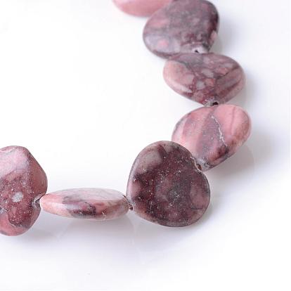 Natural Red Picture Jasper Beads Strands, Heart