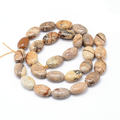 Natural Picture Jasper Flat Oval Bead Strands, 14x10x6mm, Hole: 1mm, about 29pcs/strand, 15.7 inch