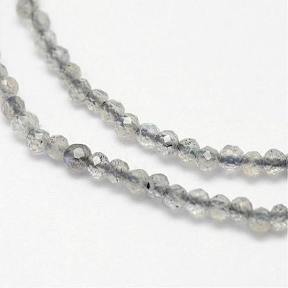 Natural Labradorite Bead Strands, Faceted, Round