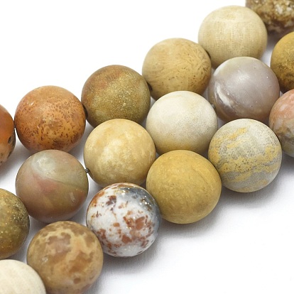 Fossiles naturelle perles de corail brins, givré, ronde