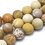 Natural Fossil Coral Beads Strands, Frosted, Round