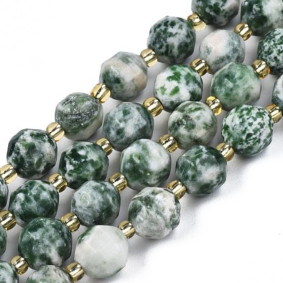 Natural Green Spot Jasper Beads Strands, with Seed Beads, Faceted Bicone Barrel Drum