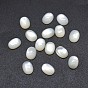 Shell Cabochons, Oval