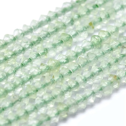Natural Prehnite Beads Strands, Faceted, Bicone