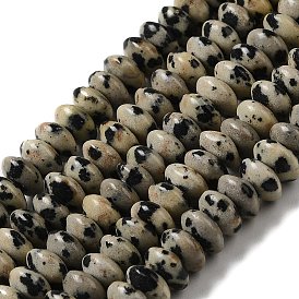 Natural Dalmatian Jasper Beads Strands, Saucer Beads, Rondelle