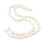 Natural Shell Beads Strands, Conch