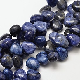 Natural Sodalite Teardrop Beads, 18x15x10mm, Hole: 1mm