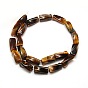 Natural Tiger Eye Twist Column Beads Strands, 21x10x10mm, Hole: 1mm, about 20pcs/strand, 15.74 inch