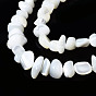Natural Trochid Shell/Trochus Shell Beads Strands, Bleach, Nuggets Chips