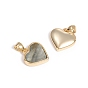 Natural Shell Charms, with Golden Plated Brass Findings, Long-Lasting Plated, Heart