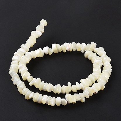 Natural Sea Shell Beads Strands, Bleach, Chips