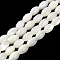 Natural Trochus Shell Beads Strands, Rice