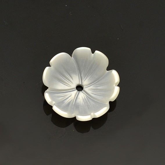Flores naturales cuentas de concha blanca, cuentas de concha de nácar, 10x3 mm, agujero: 0.5 mm