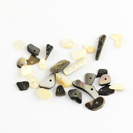 Natural Black Lip Shell Chips Beads, Shell Shards, 6~16x1~6x2~4.5mm, Hole: 1mm