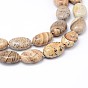 Natural Picture Jasper Flat Oval Bead Strands, 14x10x6mm, Hole: 1mm, about 29pcs/strand, 15.7 inch