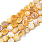 Natural Trochid Shell/Trochus Shell Beads Strands, Dyed, Flat Round