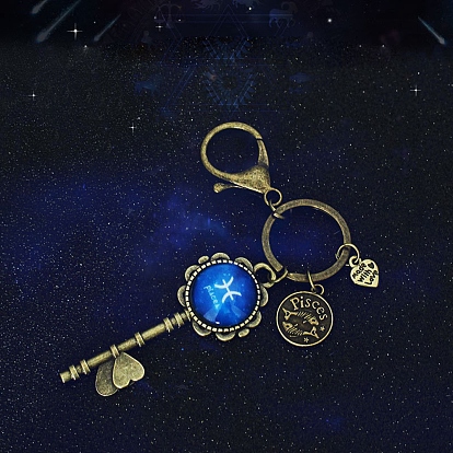 Porte-clés en alliage lumineux, brillent dans le noir, clé avec motif douze constellations