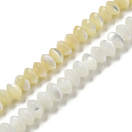 Brins de perles rondelles en coquille de troca naturelle, perles de soucoupe