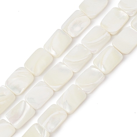Natural Trochid Shell/Trochus Shell Beads Strands, Rectangle