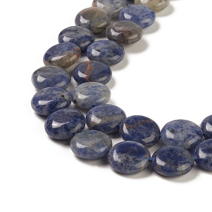 Natural Sodalite Beads Strands, Flat Round