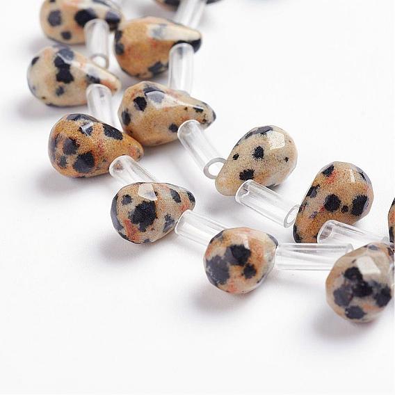 Natural Dalmatian Jasper Beads Strands, Top Drilled Beads, Teardrop, Faceted