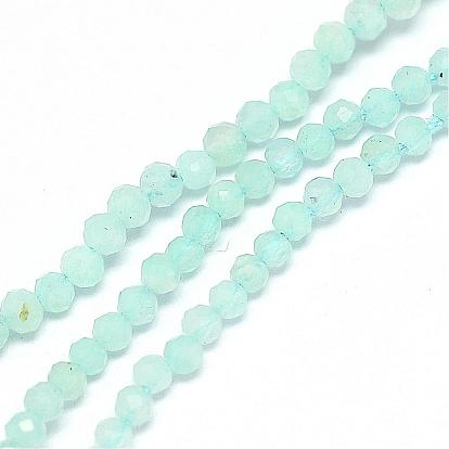 Natural Amazonite Bead Strands, Faceted, Round