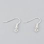Iron Earring Hooks, with Horizontal Loop, Nickel Free