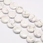 Natural Flat Round Crackle Howlite Beads Strands, 20x7~9mm, Hole: 1mm, about 20pcs/strand, 15.74 inch