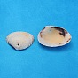 Natural Clam Shell Beads, Mixed, 20~32x21~37x5~10mm, Hole: 1.5mm