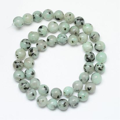 Jaspe de sésame naturel / brins de perles de jaspe kiwi, ronde