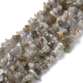 Labradorite naturelle perles de puce brins