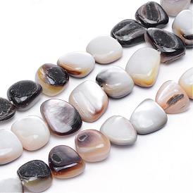 Marinas naturales hebras de perlas shell