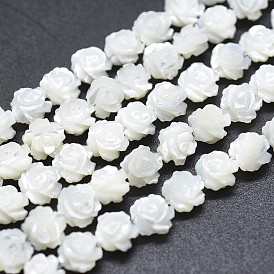 Natural White Shell Beads Strands, Mother of Pearl Shell Beads, Double-sided Rose