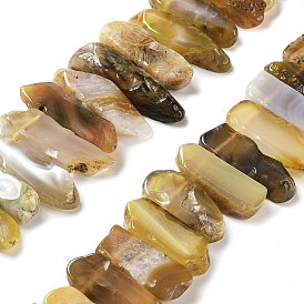 Natural Botswana Agate Beads Strands, Top Drilled Beads, Rectangle
