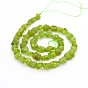 Natural Peridot Bead Strands, Tumbled Stone, Nuggets, 5~19x4~9x3~9mm, Hole: 0.5~1mm, about 15.7 inch