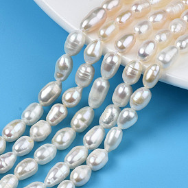 Natural Cultured Freshwater Pearl Beads Strands, Rice