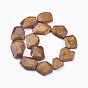 Natural Magnesite Nuggets Beads Strands, Dyed & Heated, 20~50x22~34x6~10mm, Hole: 1mm, about 60~72pcs/1000g