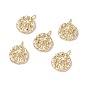 Brass Micro Pave Cubic Zirconia Pendants, with Jump Rings, Flat Round, Constellation